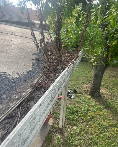 Before and after: leaf- and plant-packed flat-roof gutter cleared and flushed, Casa Care job (before photo)