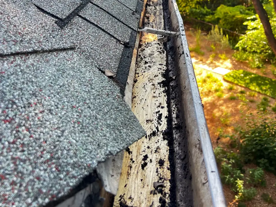 Shingle roof gutter partway through cleaning, packed wet debris on one side and a cleared trough on the other