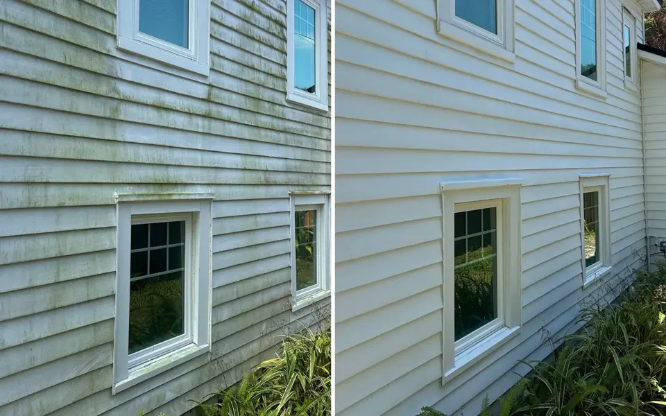 Light lap siding and white-trimmed windows shown before and after a soft wash, with green algae streaks on the left and clean siding on the right