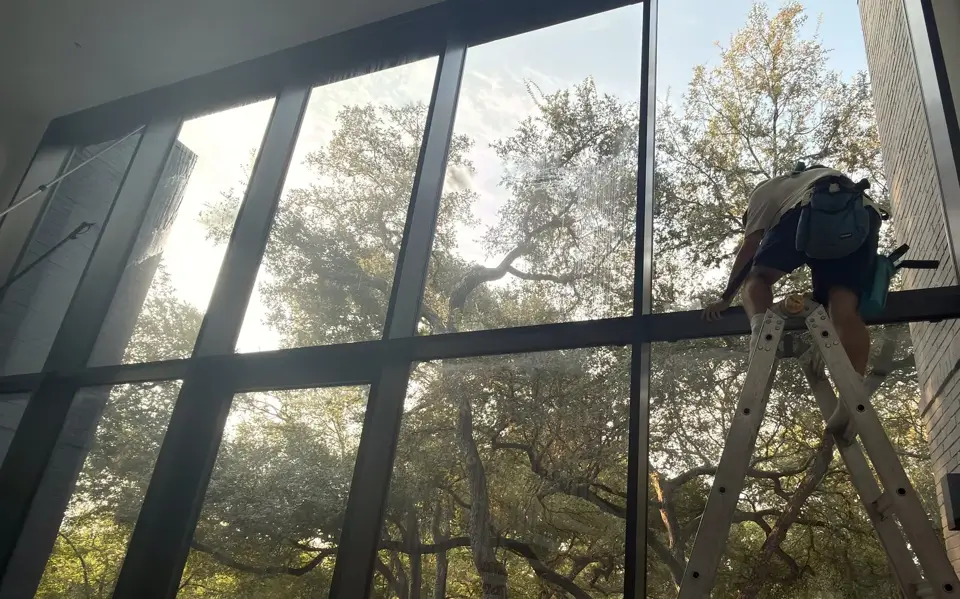 Window cleaner on a ladder cleaning the inside of a tall steel-framed glass wall, with live oaks outside