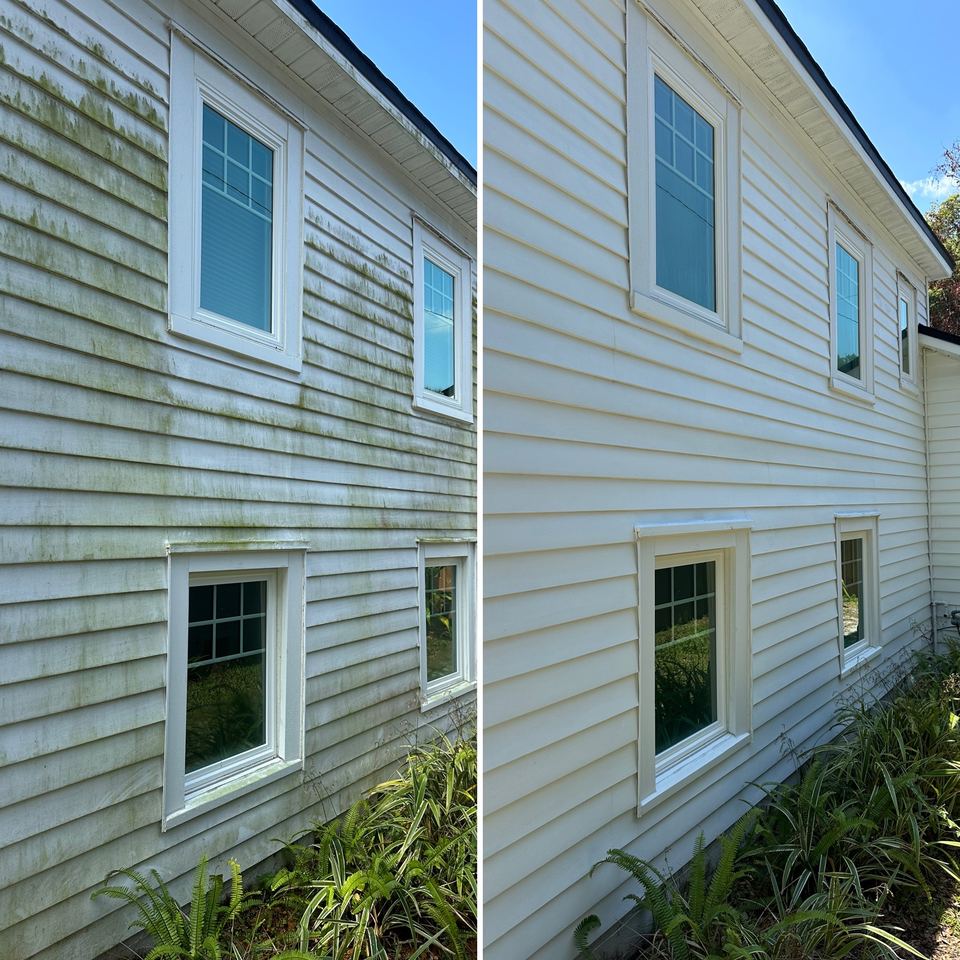 Shaded vinyl siding wall with green algae, shown before and after soft washing