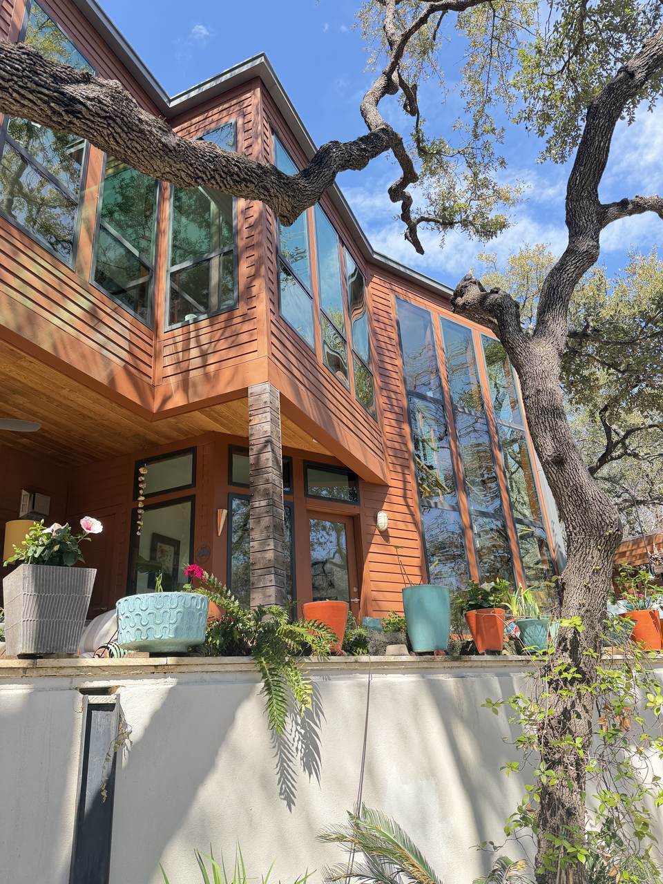 Austin home with cedar lap siding, tall windows and a stucco garden wall under a live oak